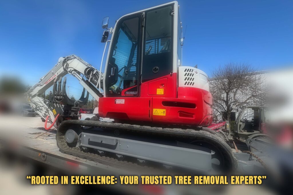 Trusted Tree Trimming Servicing Mass and New Hampshire